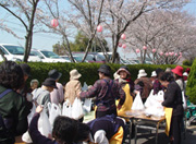 観桜会の写真